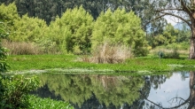 Imagen jardín botánico 